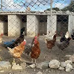 Bed and Breakfast Goknar Knidos Nature Hotel And Farm (Adults Only) Datca