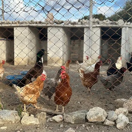 B&B Goknar Knidos Nature And Farm (adults Only) Datca