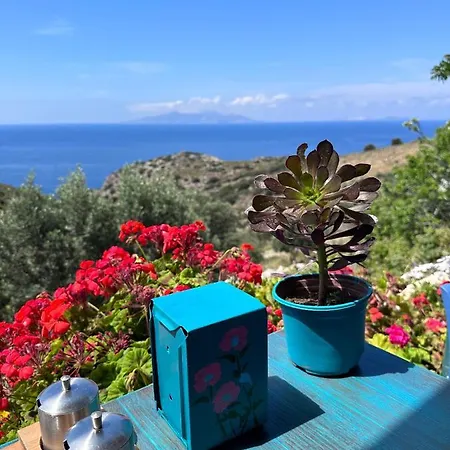 Goknar Knidos Adults Only Eco Retreat And Farm B&B 닷차