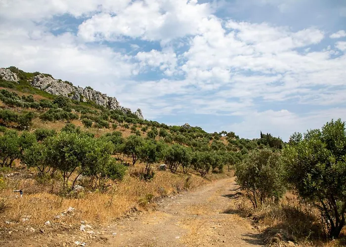 Goknar Knidos Adults Only Eco Retreat And Farm