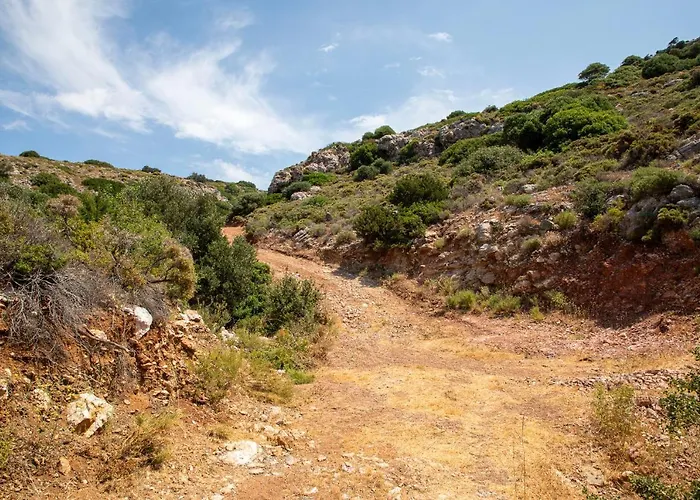 Oda ve Kahvaltı Goknar Knidos Adults Only Eco Retreat And Farm 4*