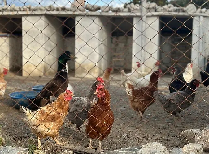 Oda ve Kahvaltı Goknar Knidos Adults Only Eco Retreat And Farm Datça