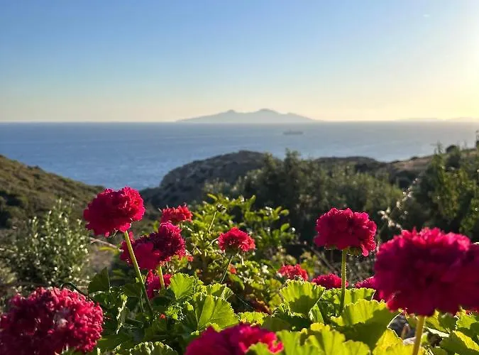 Oda ve Kahvaltı Goknar Knidos Adults Only Eco Retreat And Farm 4*