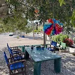 Bed and Breakfast Goknar Knidos Nature Hotel And Farm (Adults Only) Datca