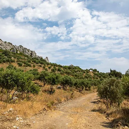 Goknar Knidos Adults Only Eco Retreat And Farm