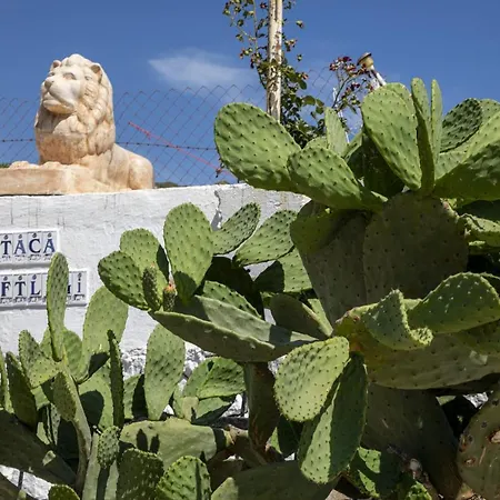 Goknar Knidos Adults Only Eco Retreat And Farm Bed & Breakfast