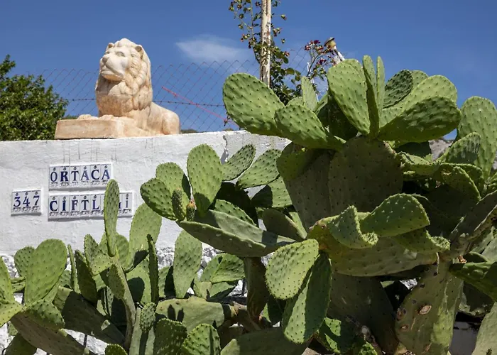 Goknar Knidos Nature Hotel And Farm (Adults Only) Отель типа 
