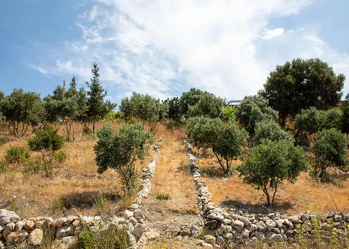 Goknar Knidos Nature Hotel And Farm (Adults Only) 3*